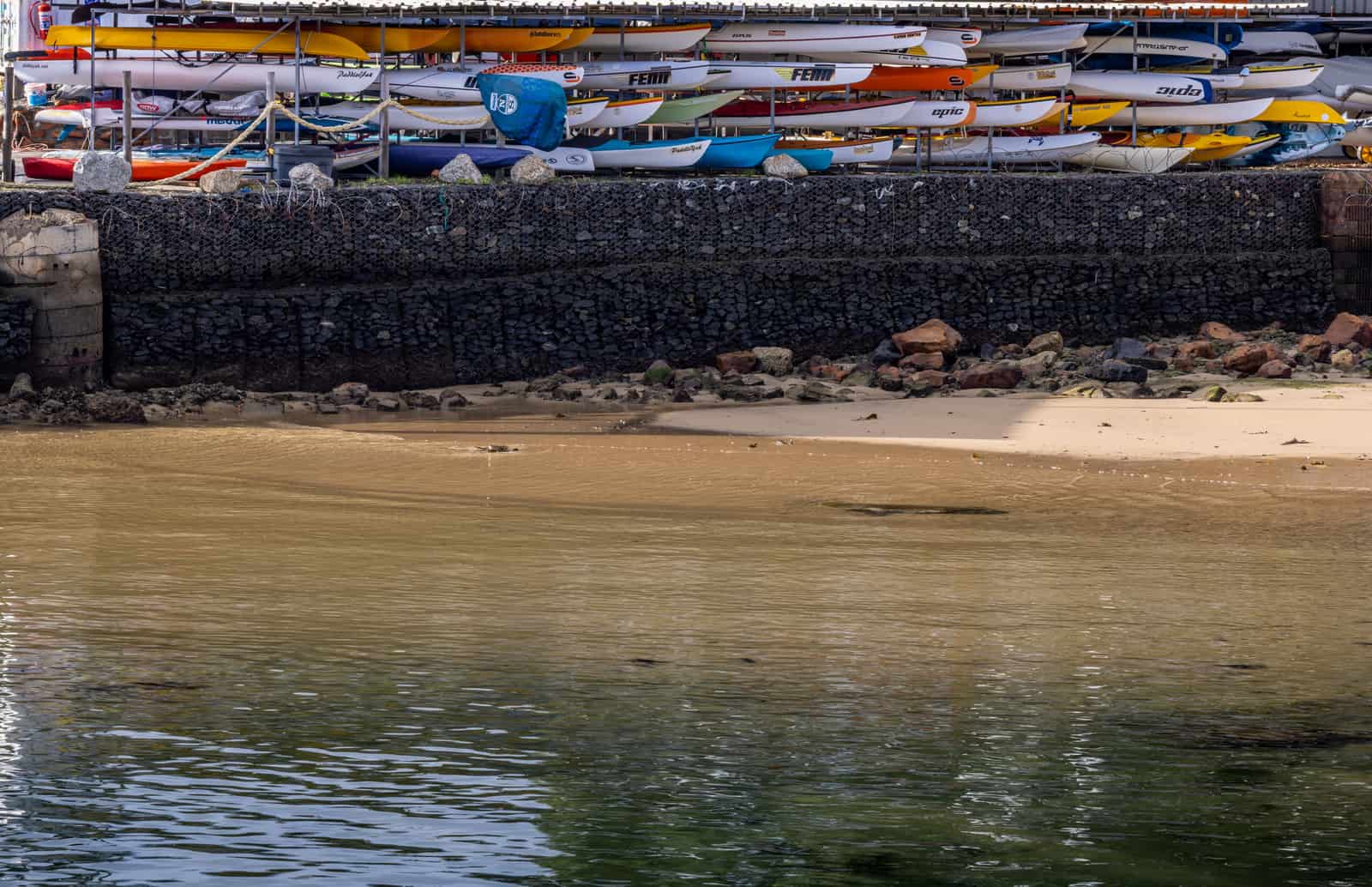 A row of kayaks racked beside the water