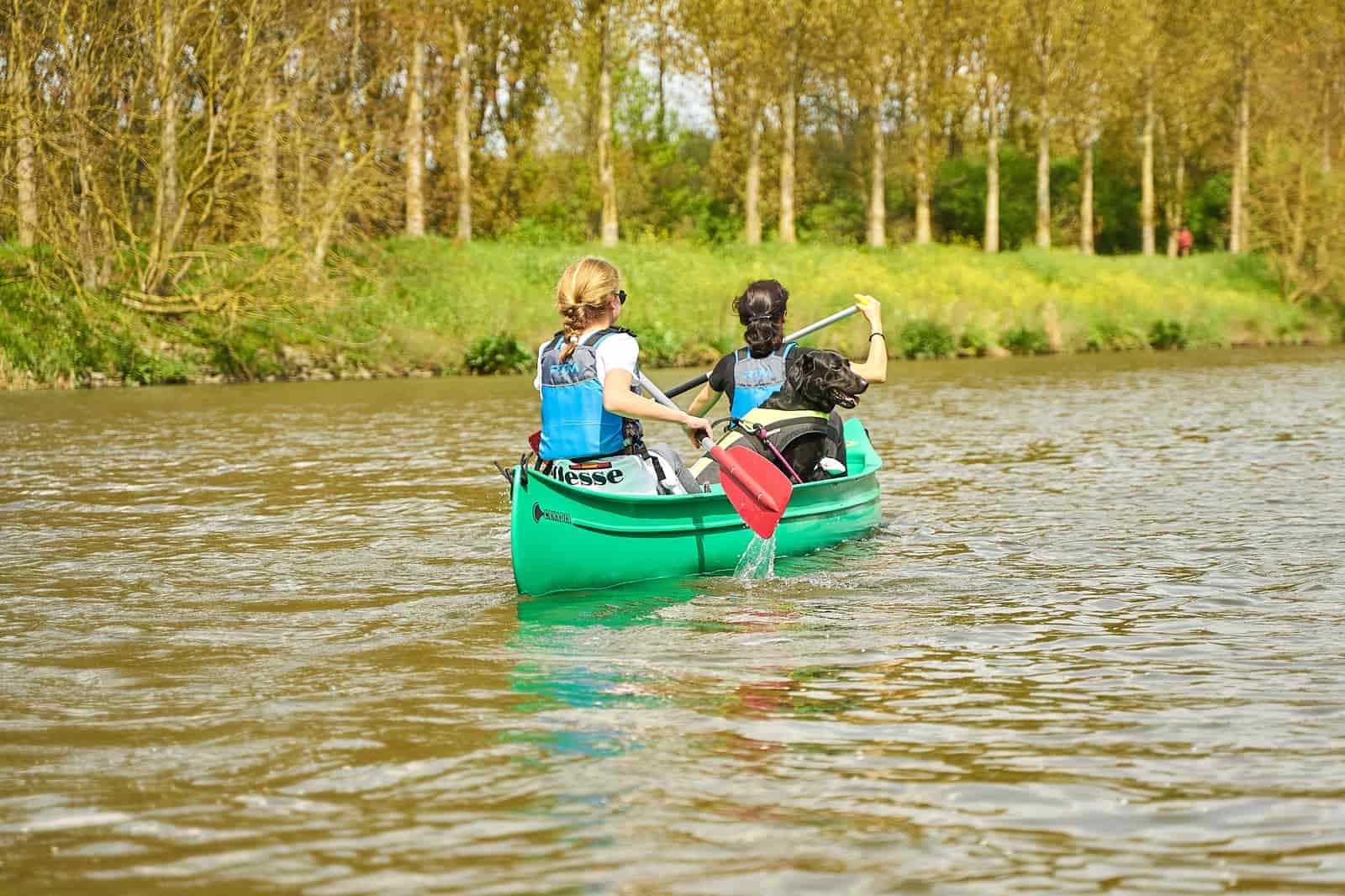 A dog sitting on the deck of a kayak with its owner paddling