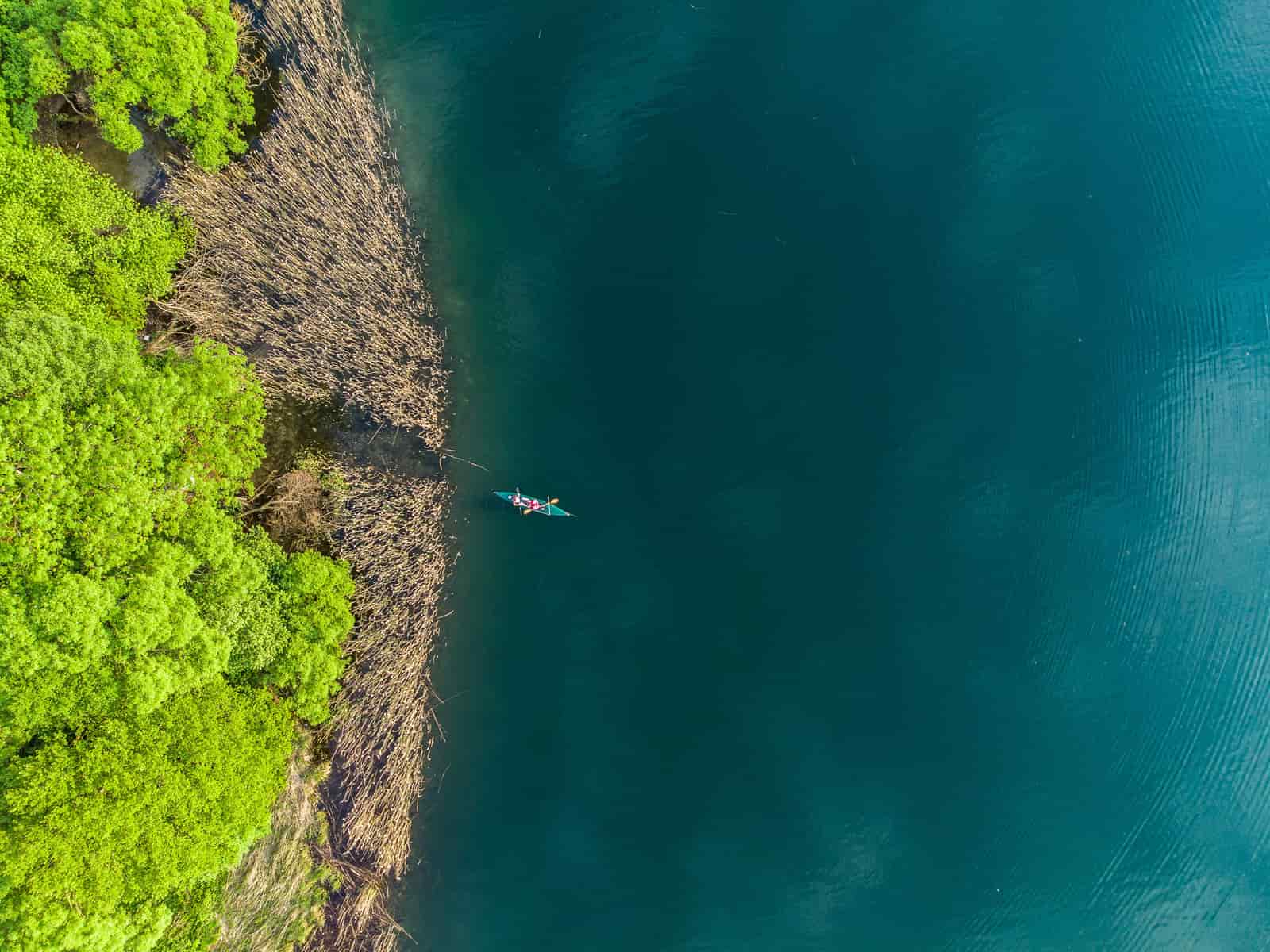 A sit-on-top kayak drawn up on a sunny lake shore