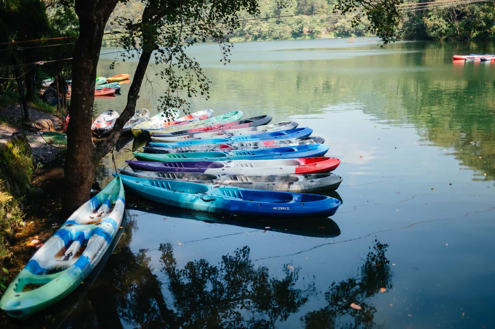 A row of kayaks pulled up on a lake shore