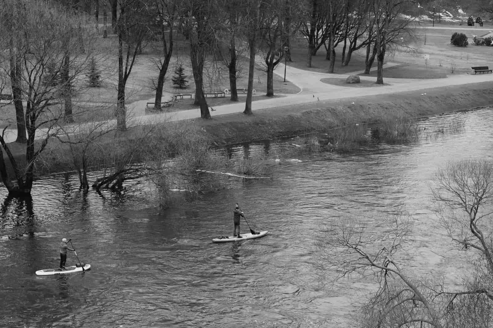 Two loaded paddle boards on a calm estuary